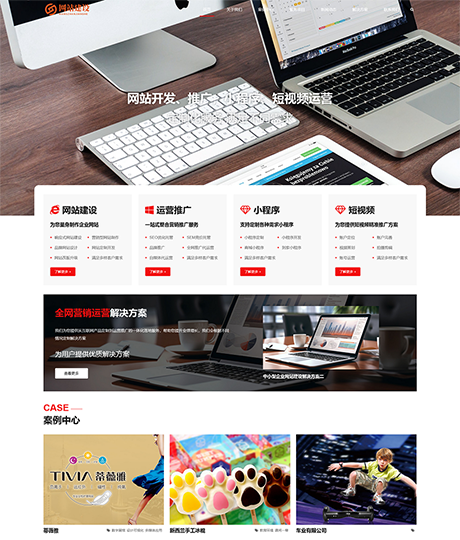 响应式互联网网站设计建设网站模板